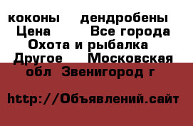 коконы    дендробены › Цена ­ 25 - Все города Охота и рыбалка » Другое   . Московская обл.,Звенигород г.